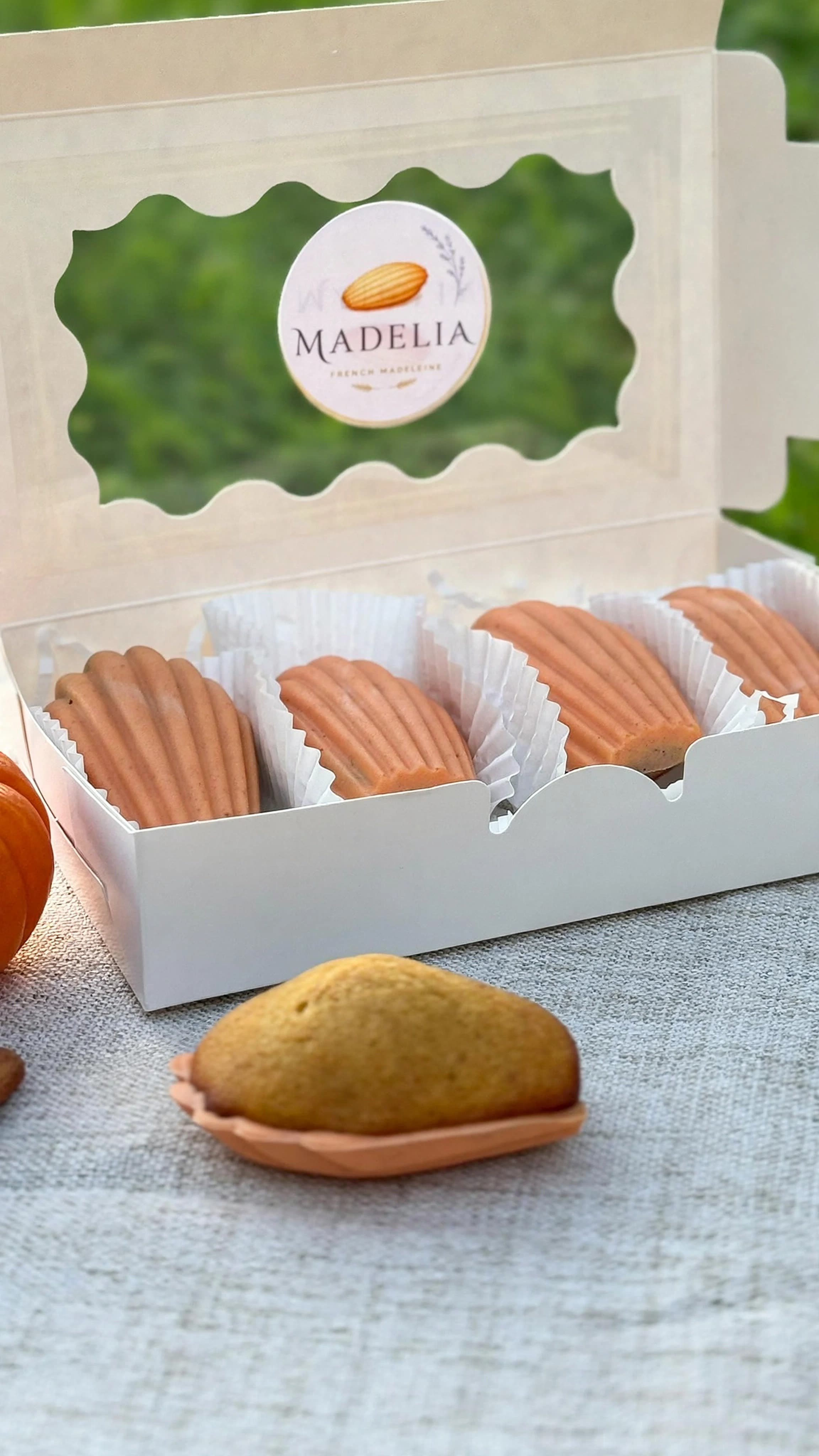 Madelia fall collection: box of four madeleines with autumn pumpkins